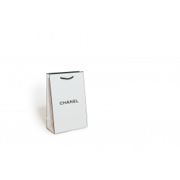 CHANEL 15x23.5x8.5